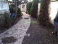 /album/kepgaleria-vecses-kert-takaritas-/img-20140310-073235-masolas-jpg/
